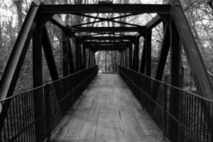 bridges, Monochrome, Trees