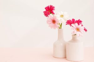gerbera, Flower, Vase, White, Light, Still, Life