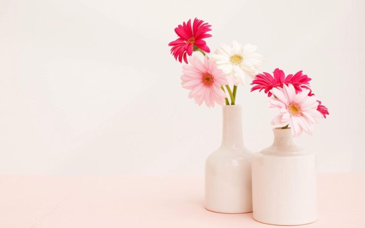 gerbera, Flower, Vase, White, Light, Still, Life HD Wallpaper Desktop Background