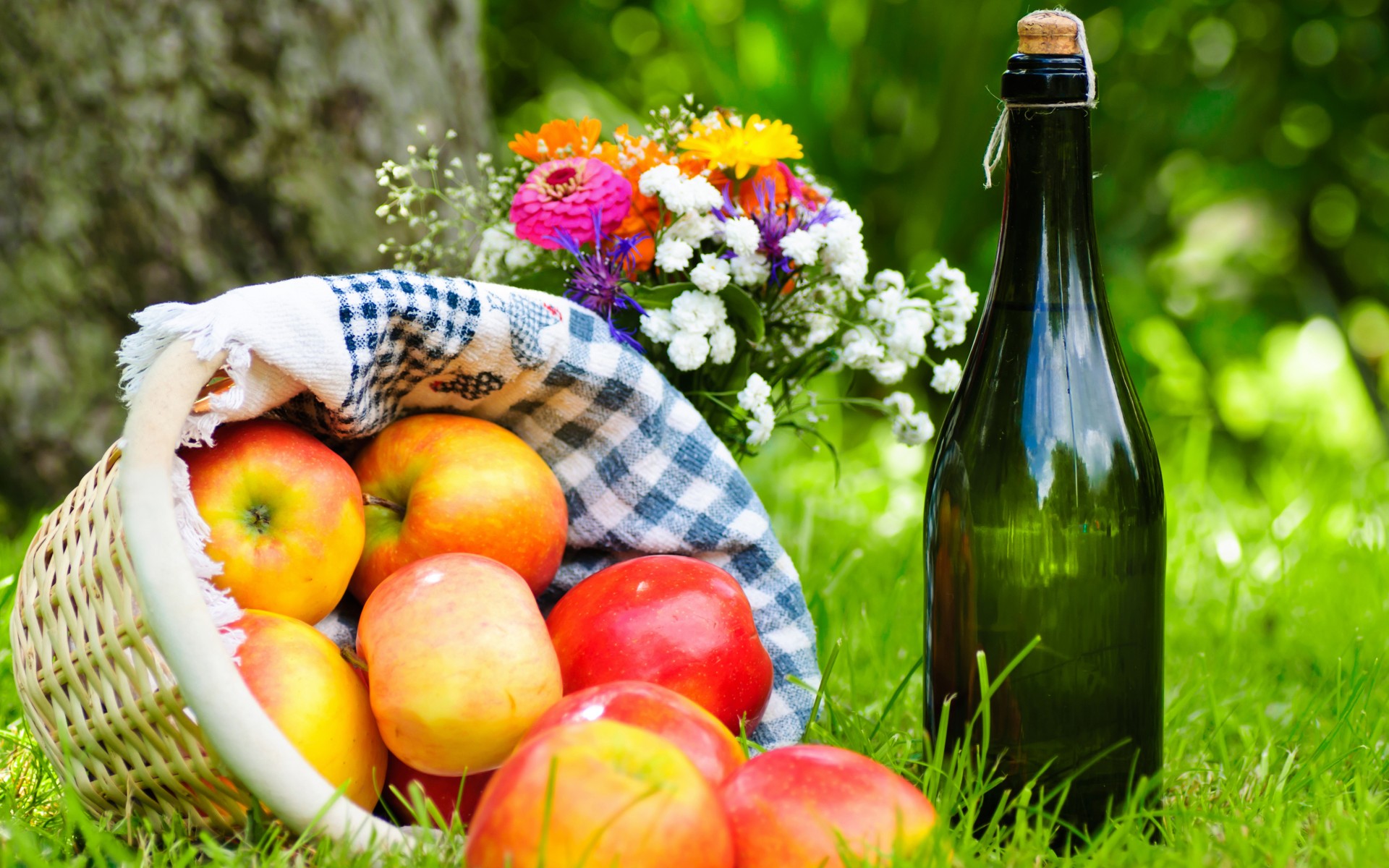grass, Basket, Cloth, Wine, Apples, Picnic, Bouquet, Flowers, Fruit, Still, Life Wallpaper
