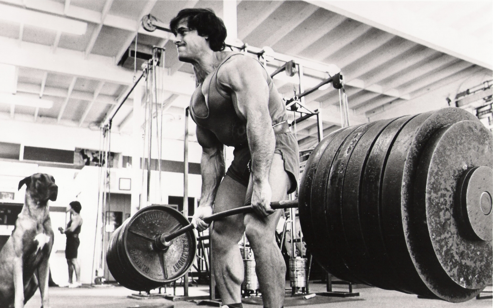 gym, Monochrome, Sports, Weight, Lifting, Muscle, Fitness Wallpaper