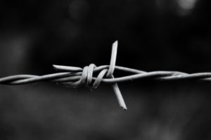 monochrome, Knot, Barbed, Wire, Macro