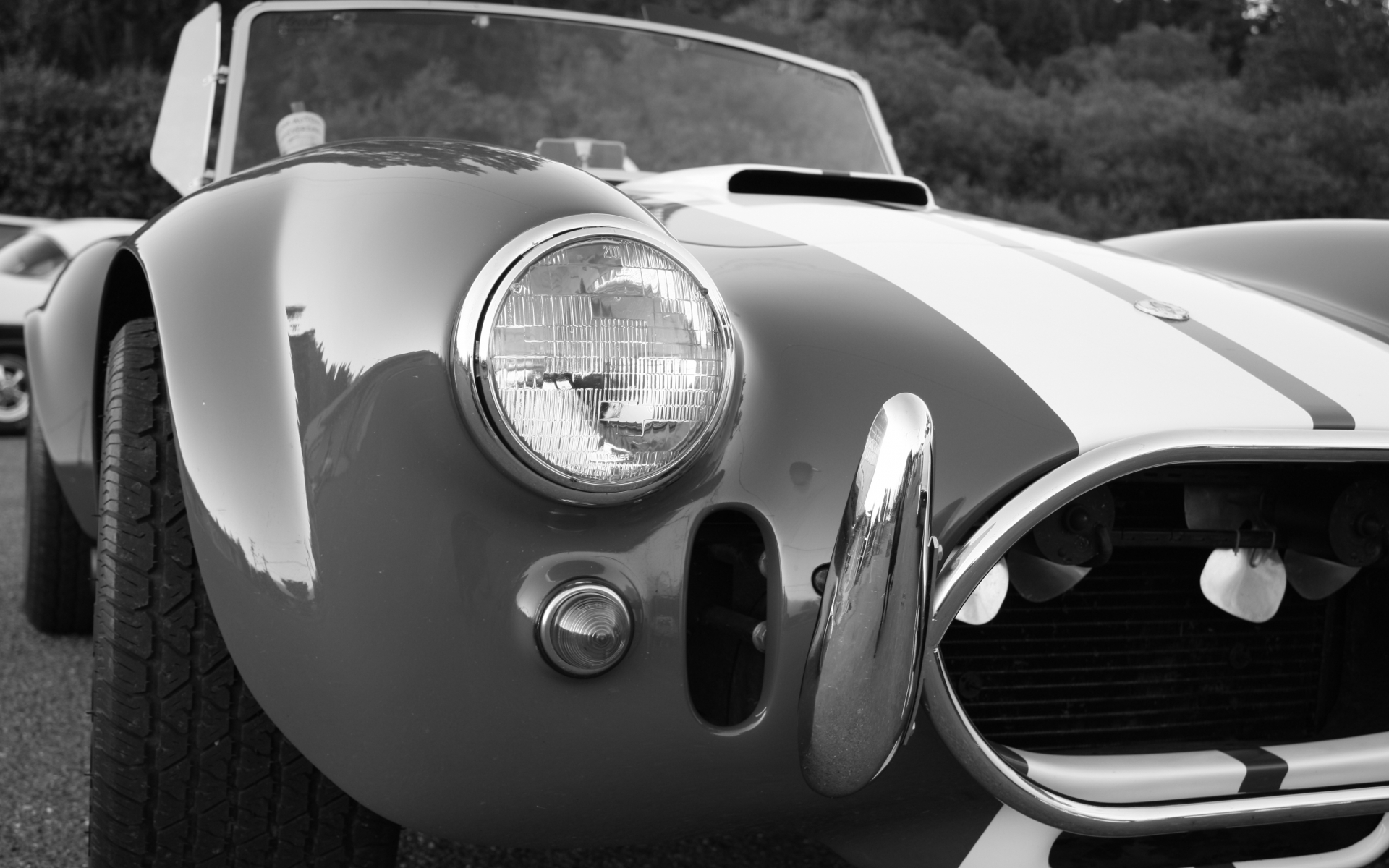 shelby, Corbra, Supercars, Muscle, Cars, Monochrome, Greyscale Wallpaper