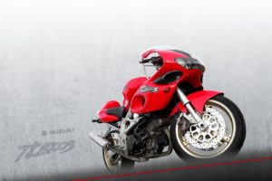 suzuki, Tl1000s, Motorbike, Bike, Motorcycle
