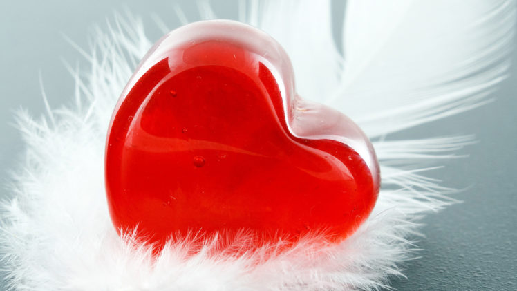 love, Red, Hearts, Feathers, Valentineand039s, Day HD Wallpaper Desktop Background