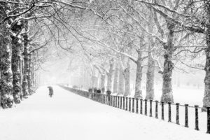 winter, Snow, People, Park, City, London, Road, Trees
