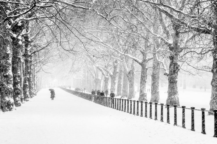 winter, Snow, People, Park, City, London, Road, Trees HD Wallpaper Desktop Background