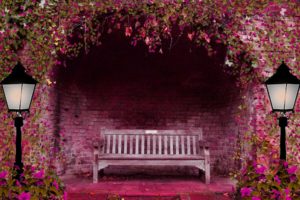 spring, Garden, Flowers, Arch, Bench, Lights, Pink, Lamps, Brick