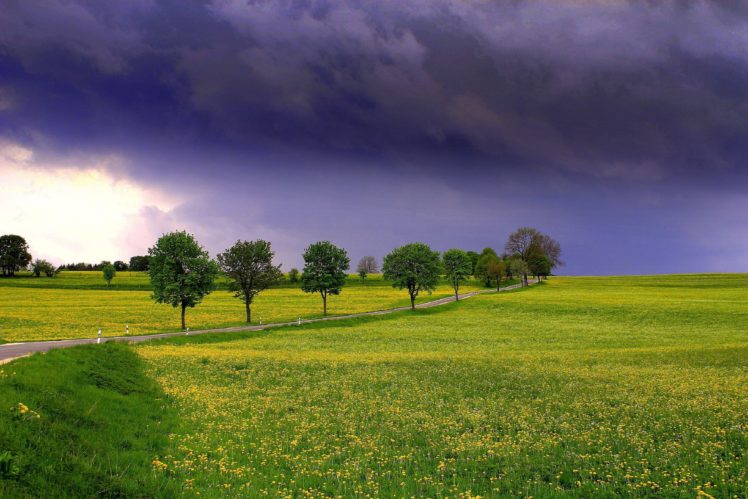 field, Road, Clouds, Trees, Landscape HD Wallpaper Desktop Background