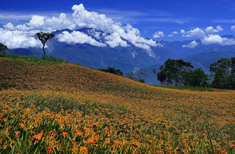 mountains, Flowers, Field, Clouds, Landscape HD Wallpaper Desktop Background