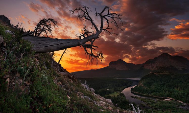 sunset, Mountains, Trees, Landscape, Park, Montana, Glacier, Glacier, National HD Wallpaper Desktop Background