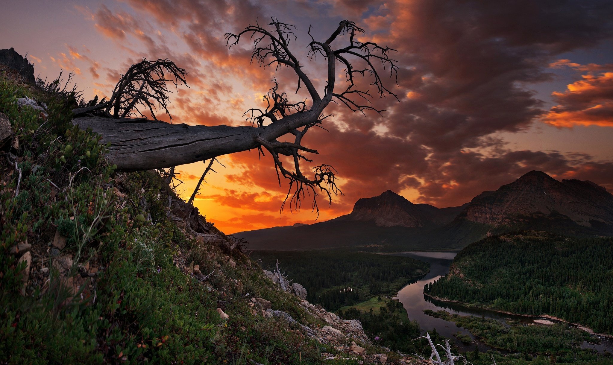 sunset, Mountains, Trees, Landscape, Park, Montana, Glacier, Glacier, National Wallpaper