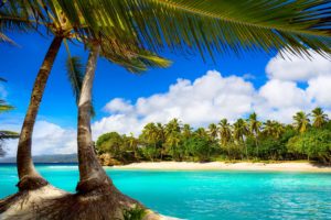 vacation, Beach, Summer, Tropical, Sea, Palms, Paradise, Ocean