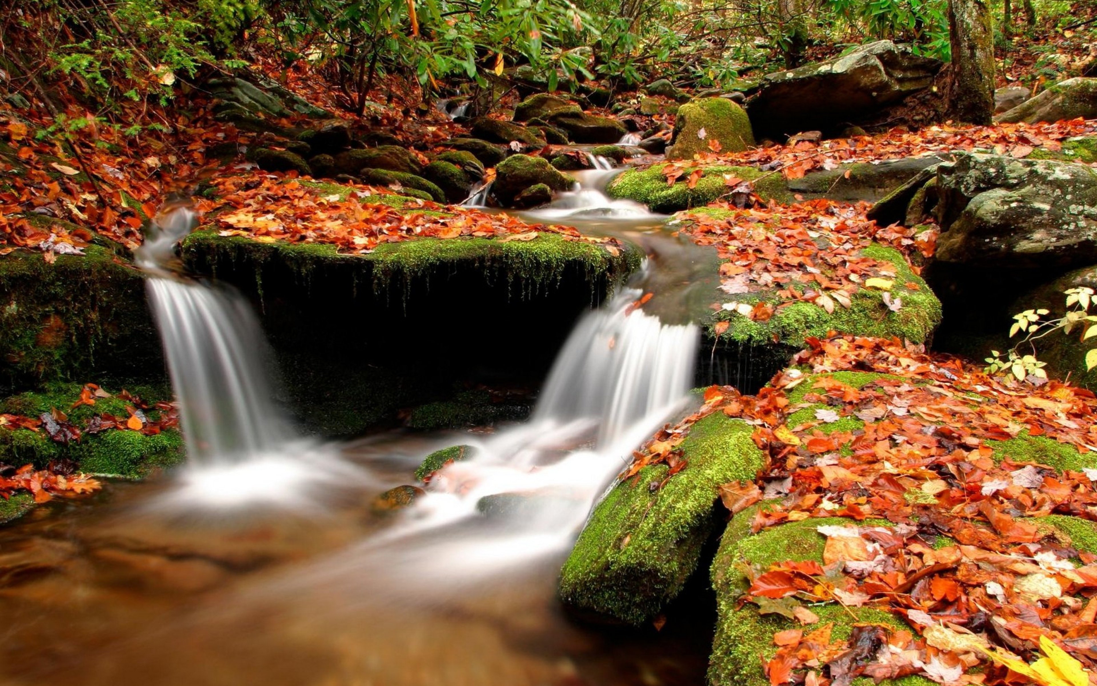 Трехсот лет более красивейший. Осенний водопад. Живая природа водопады. Осенний ручей. Красивые пейзажи с водопадами.