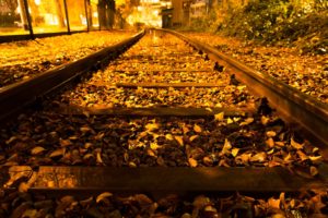 autumn, Trees, Nature, Landscape, Leaf, Leaves, Railroad, Train, Tracks