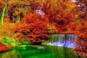 autumn, Trees, Nature, Landscape, Leaf, Leaves