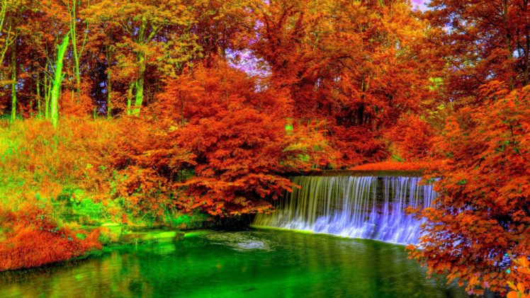 autumn, Trees, Nature, Landscape, Leaf, Leaves HD Wallpaper Desktop Background