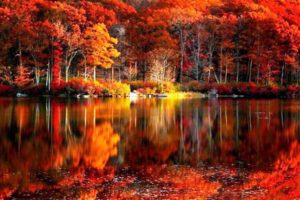 fall, Foliage, River, Autumn, Red, Lake, Reflections, Shore, Beautiful, Serenity, Trees, Calmness