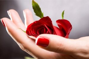 red, Hand, Passion, Love, Rose