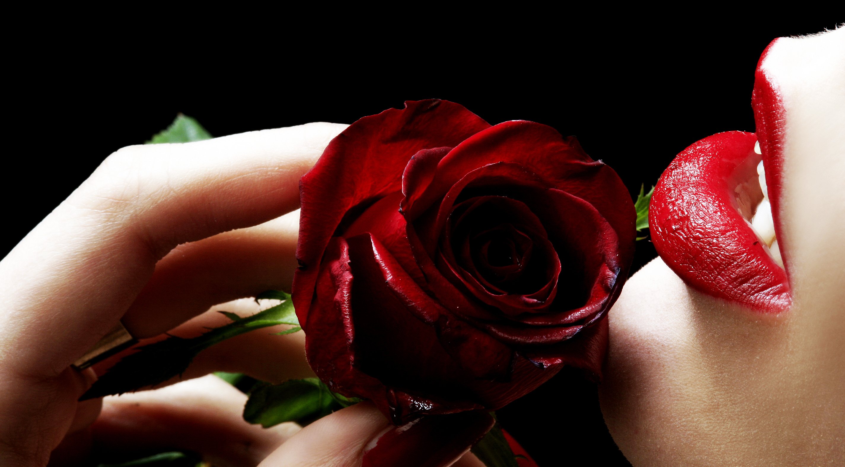 flower, Rose, Girl, Black, Background, Red, Lipstick Wallpaper