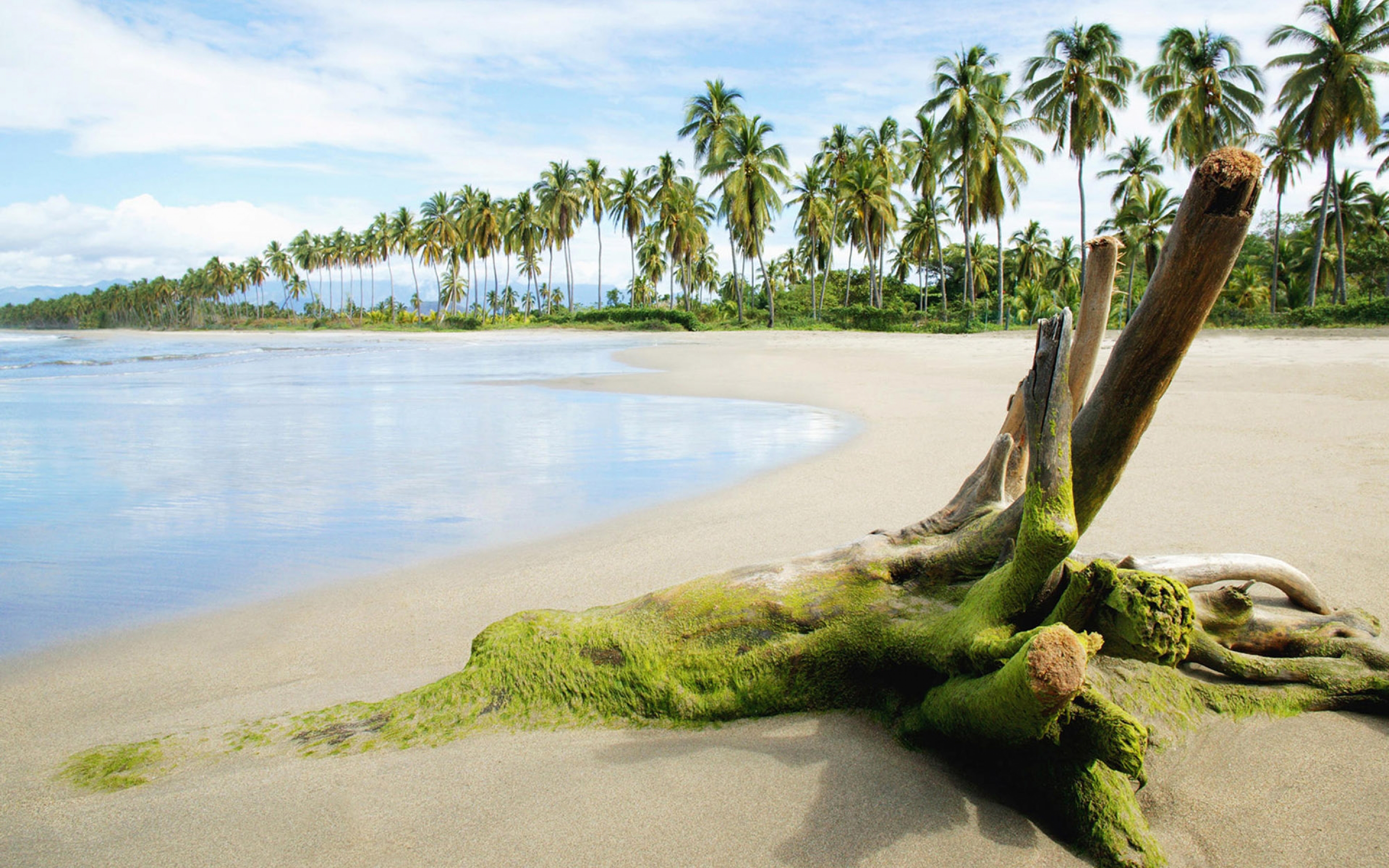 cool, Summer, Scenary Wallpaper