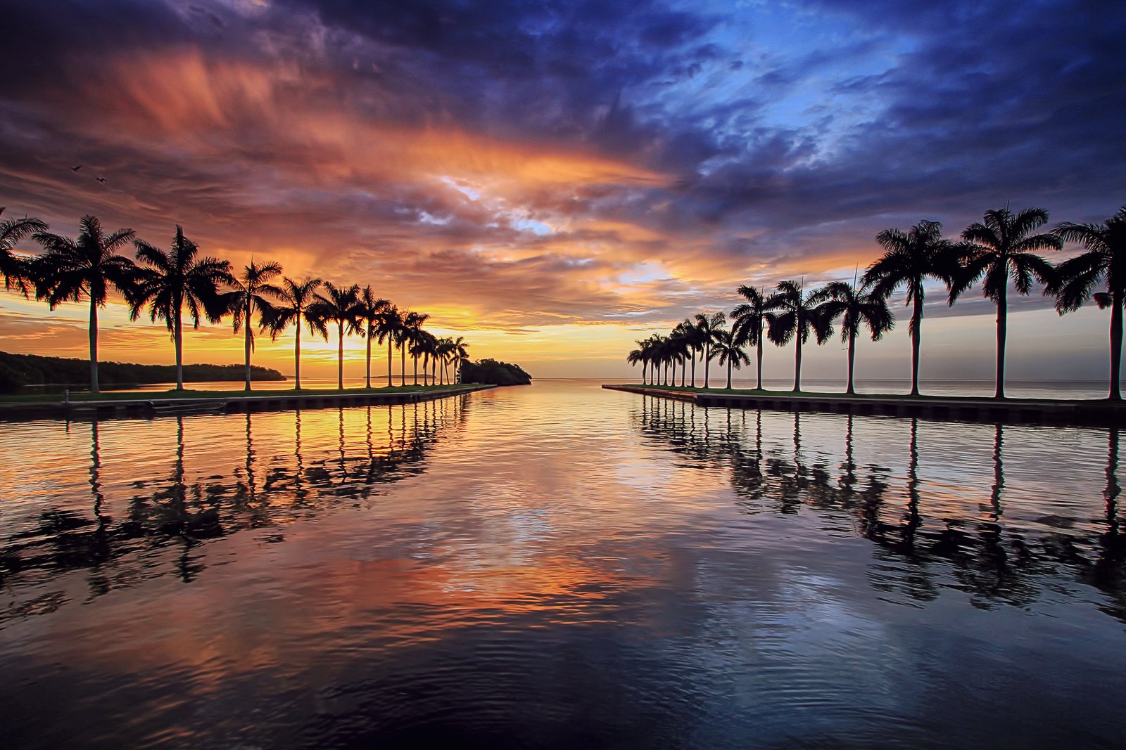 beach, Bridge, Cities, Florida, Marina, Miami, Monuments, Night