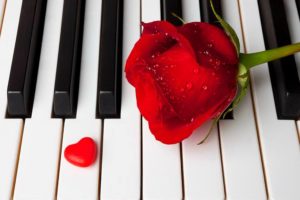 love,  , Romantic,  , Piano,  , Harrert roses