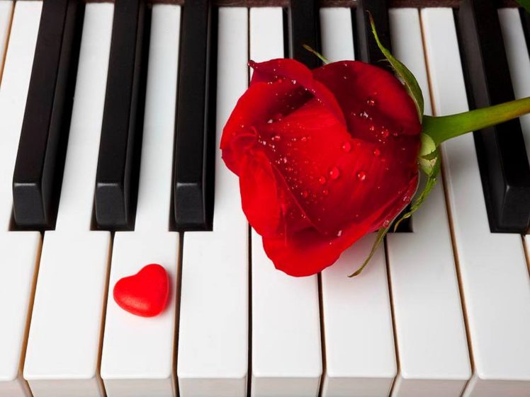 love,  , Romantic,  , Piano,  , Harrert roses HD Wallpaper Desktop Background