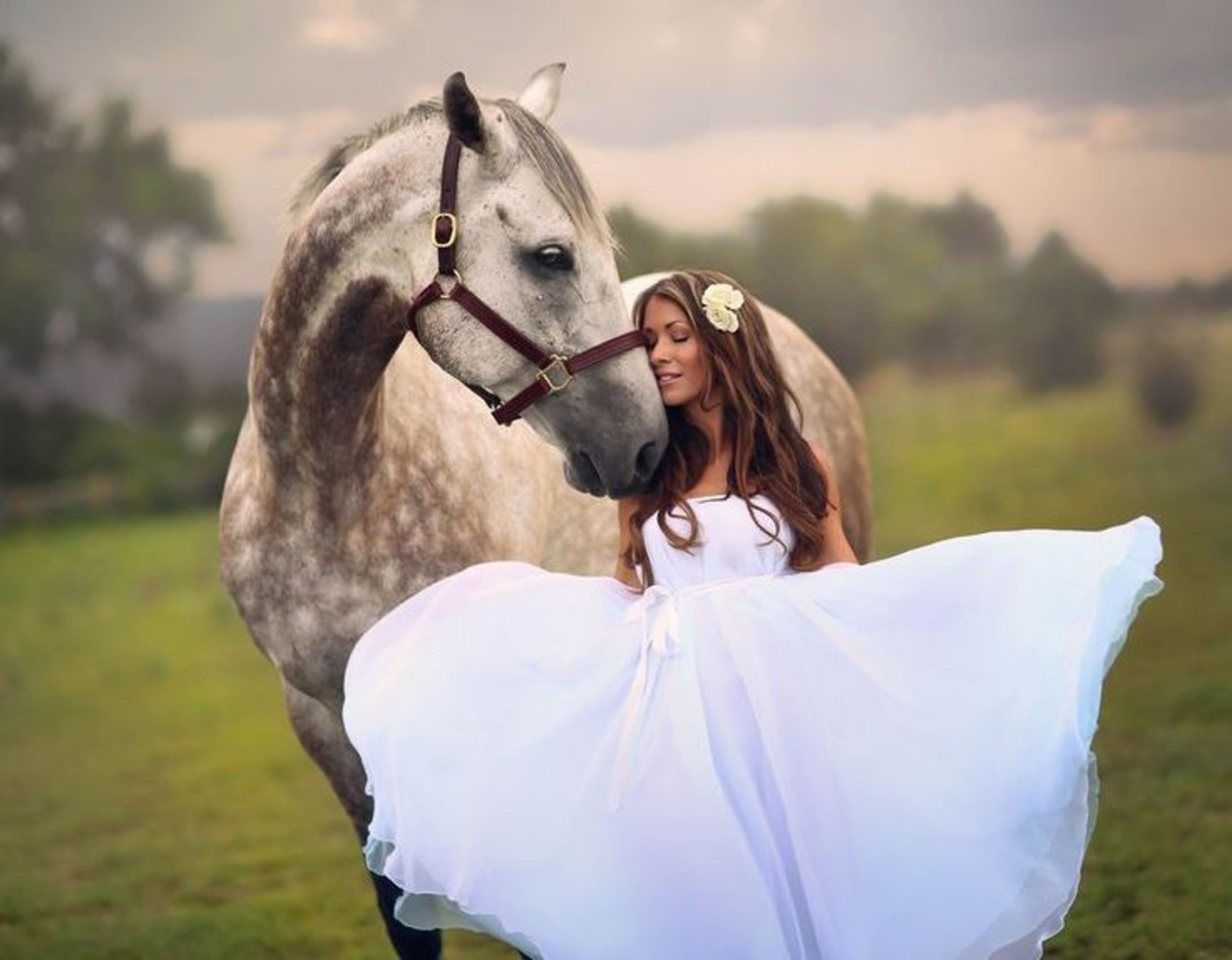 Princess horse. Фотосессия с лошадьми. Свадебная фотосессия с лошадьми. Фотосессия с белой лошадью. Фотосессия с лошадьми образы.