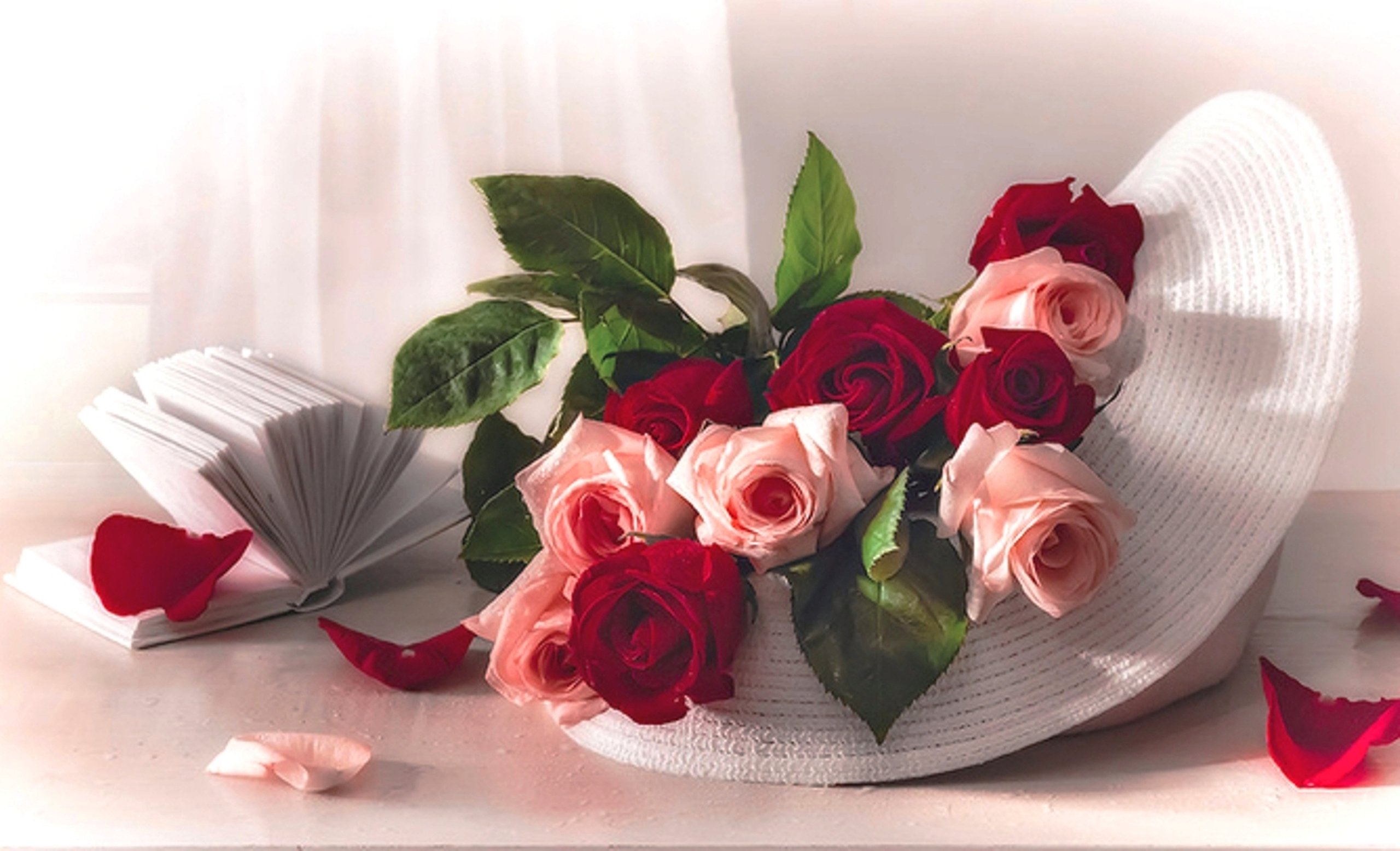 Romance Love Sun Still Life Summer Petals Beauty Delicate Red Soft Hat Floral Memories Beautiful White Flowers Gift Book Roses Nature Pink Last Natural Wallpapers Hd Desktop And Mobile Backgrounds,Best White Paint Colors For Walls Australia