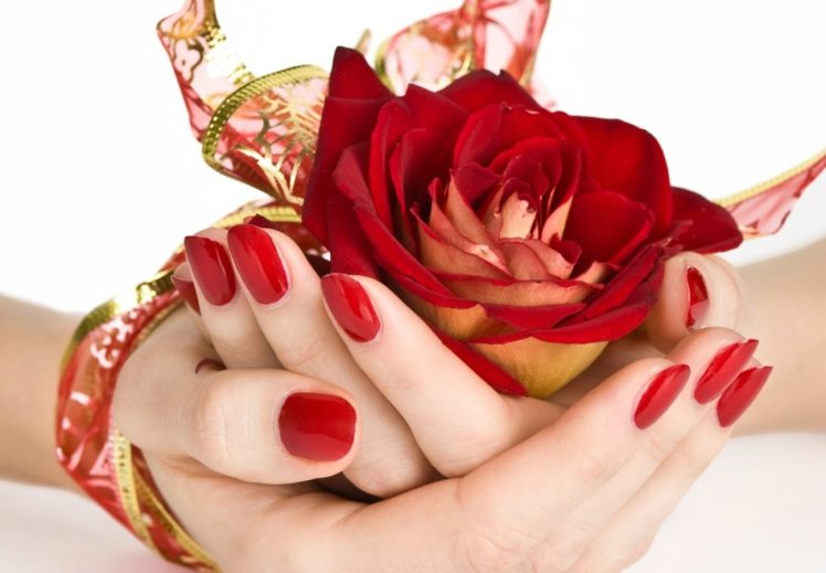 red, Roses, Flowers, Gift, Lovely HD Wallpaper Desktop Background