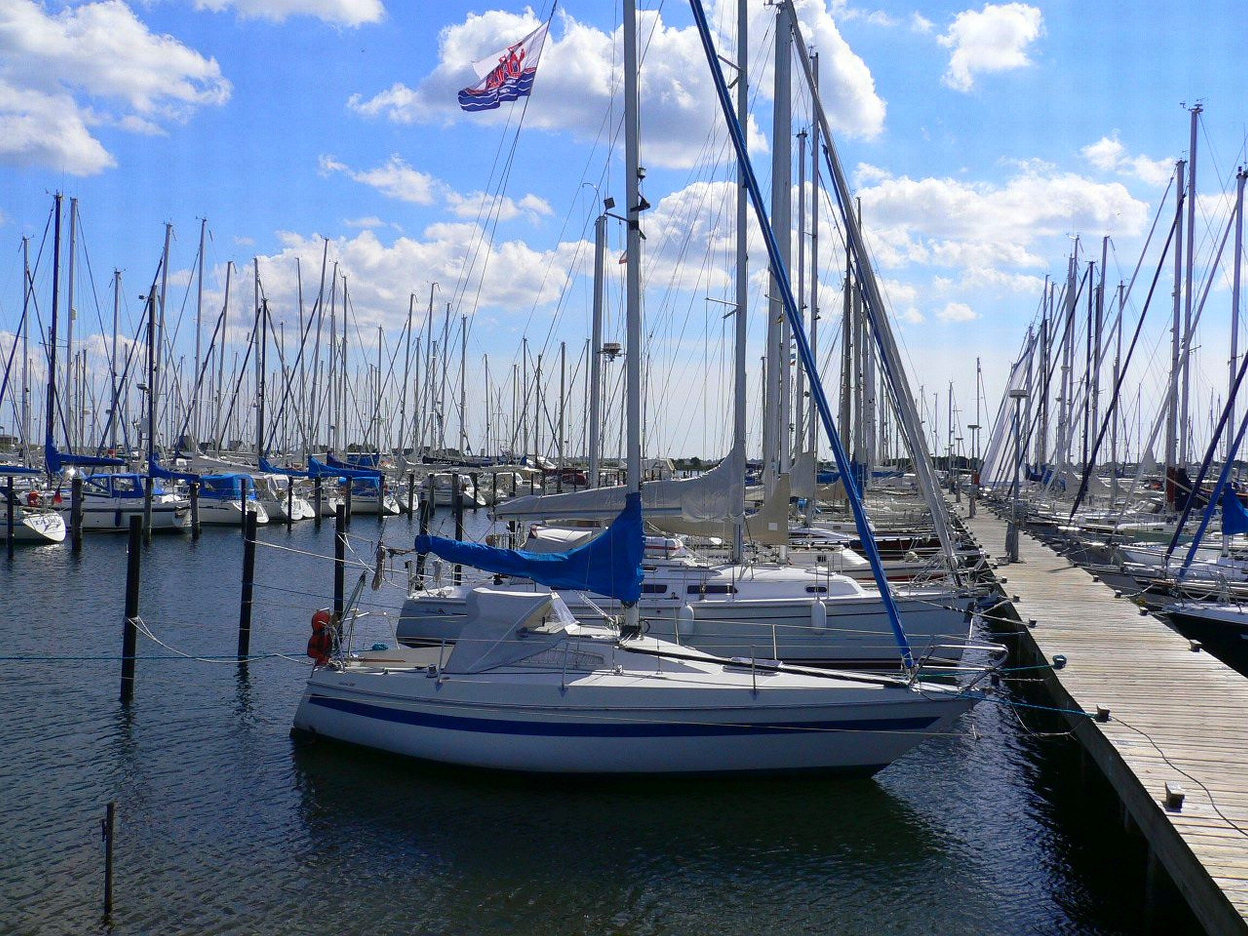 holyharbour, Sailingboat, Balticsea, Swan Wallpaper