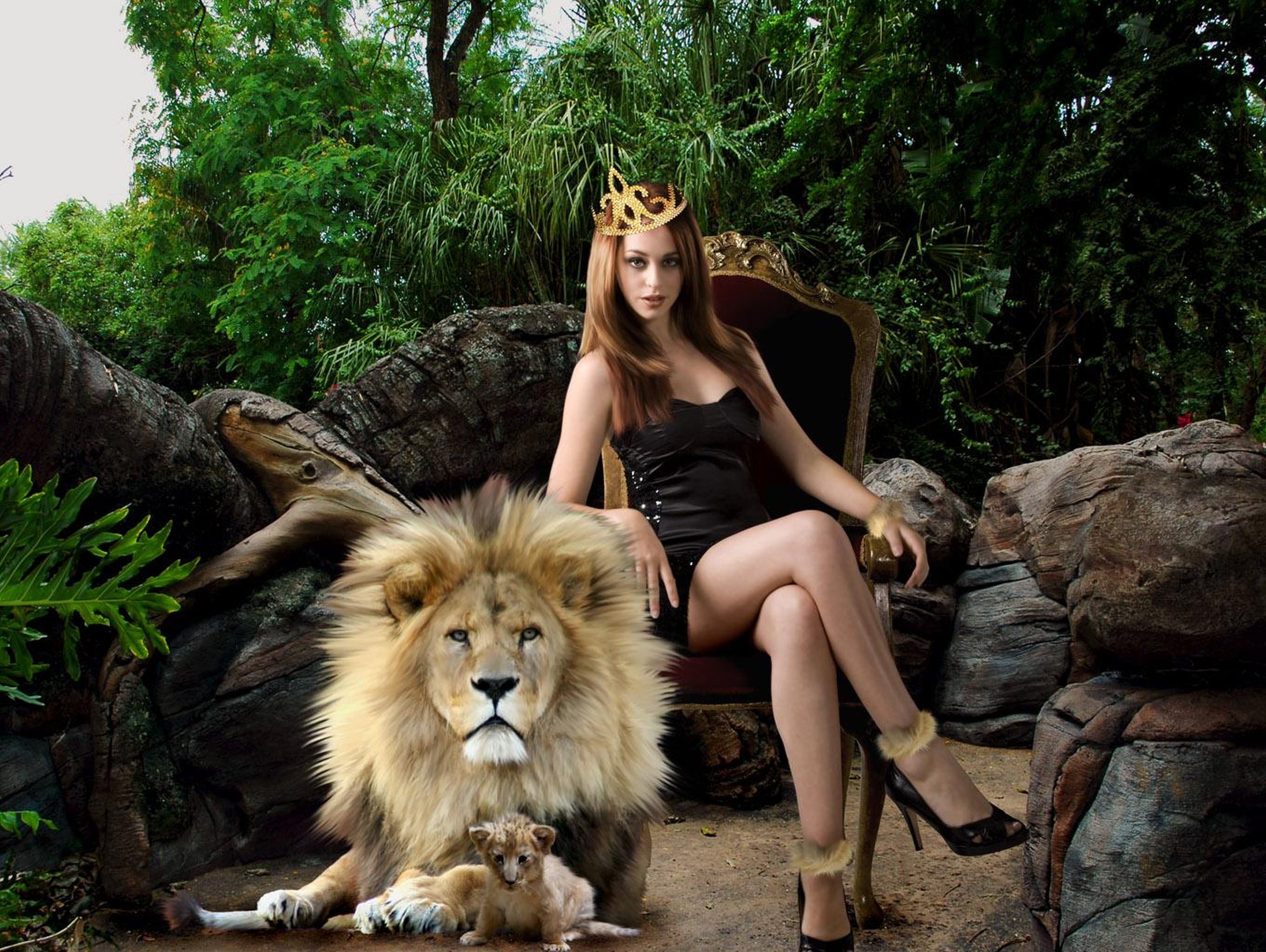 girl, Throne, Lion, Cub, Animal Wallpaper