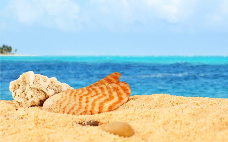 sea, Beach, Sand, Blue, Sky HD Wallpaper Desktop Background