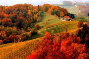 houses, Foliage, Fall, Autumn, Mountain, View, Lovely, Hills, Beautiful, Trees, Village, Peaceful