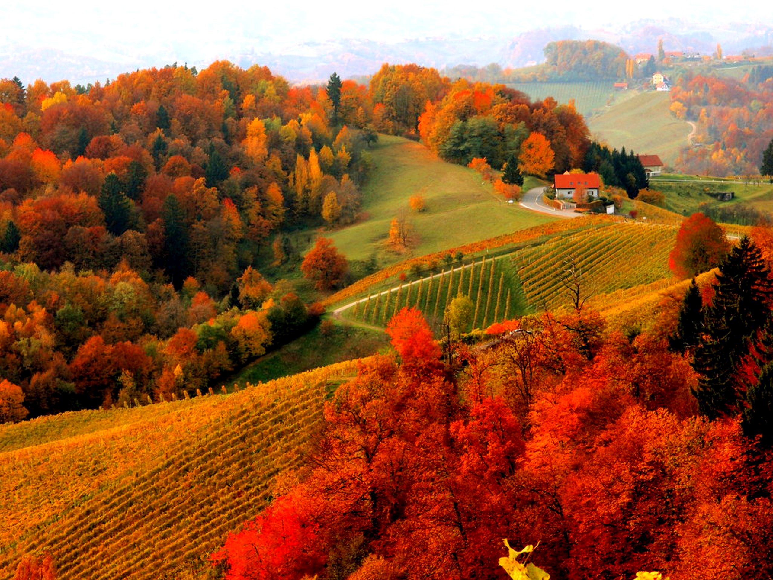 houses, Foliage, Fall, Autumn, Mountain, View, Lovely, Hills, Beautiful, Trees, Village, Peaceful Wallpaper