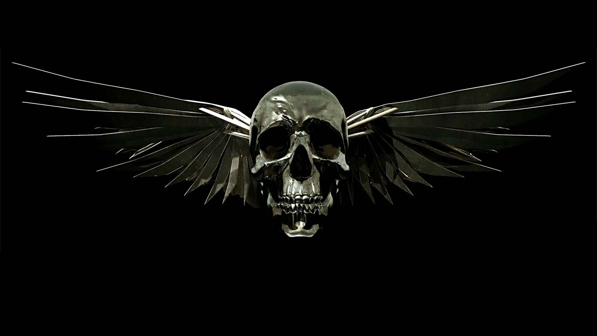 expendables,  , Movie, Skull, Wings Wallpaper