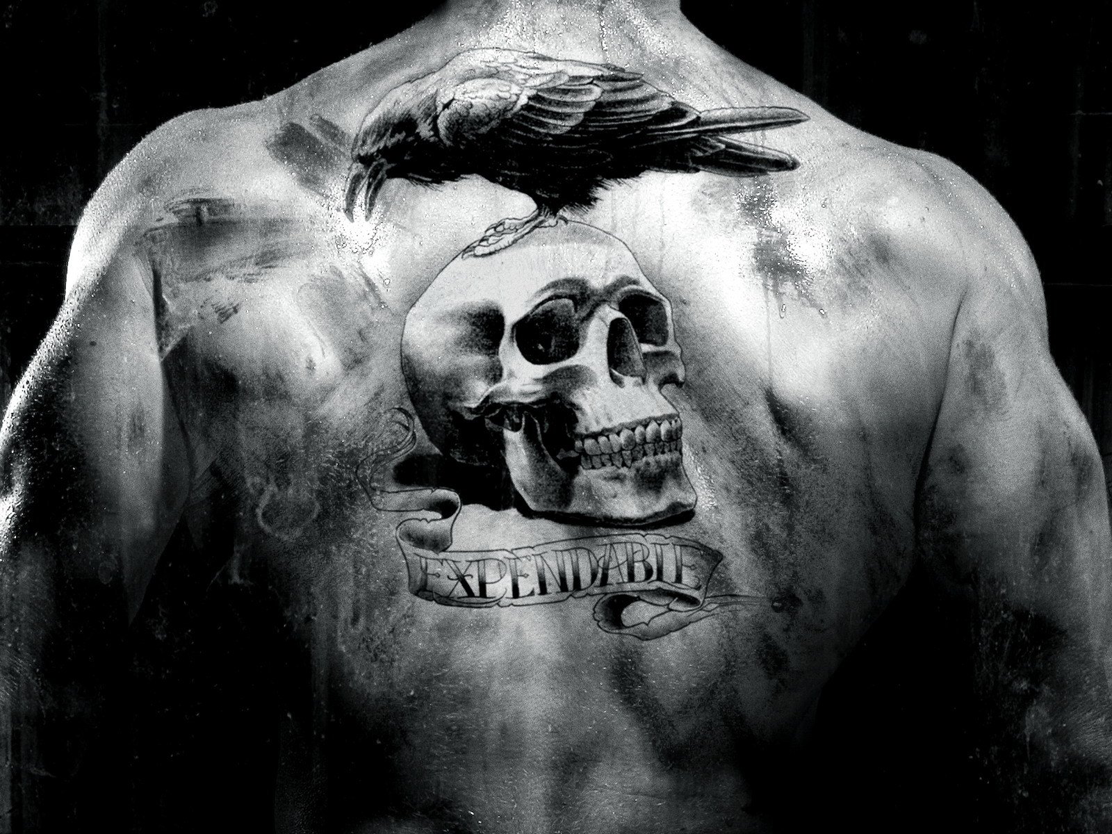 tattoo,  , Expendables, Movie, Skull, Raven Wallpaper