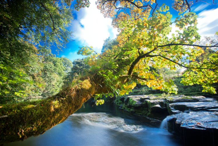 river, Rocks, Trees, Waterfalls, Autumn, Nature HD Wallpaper Desktop Background
