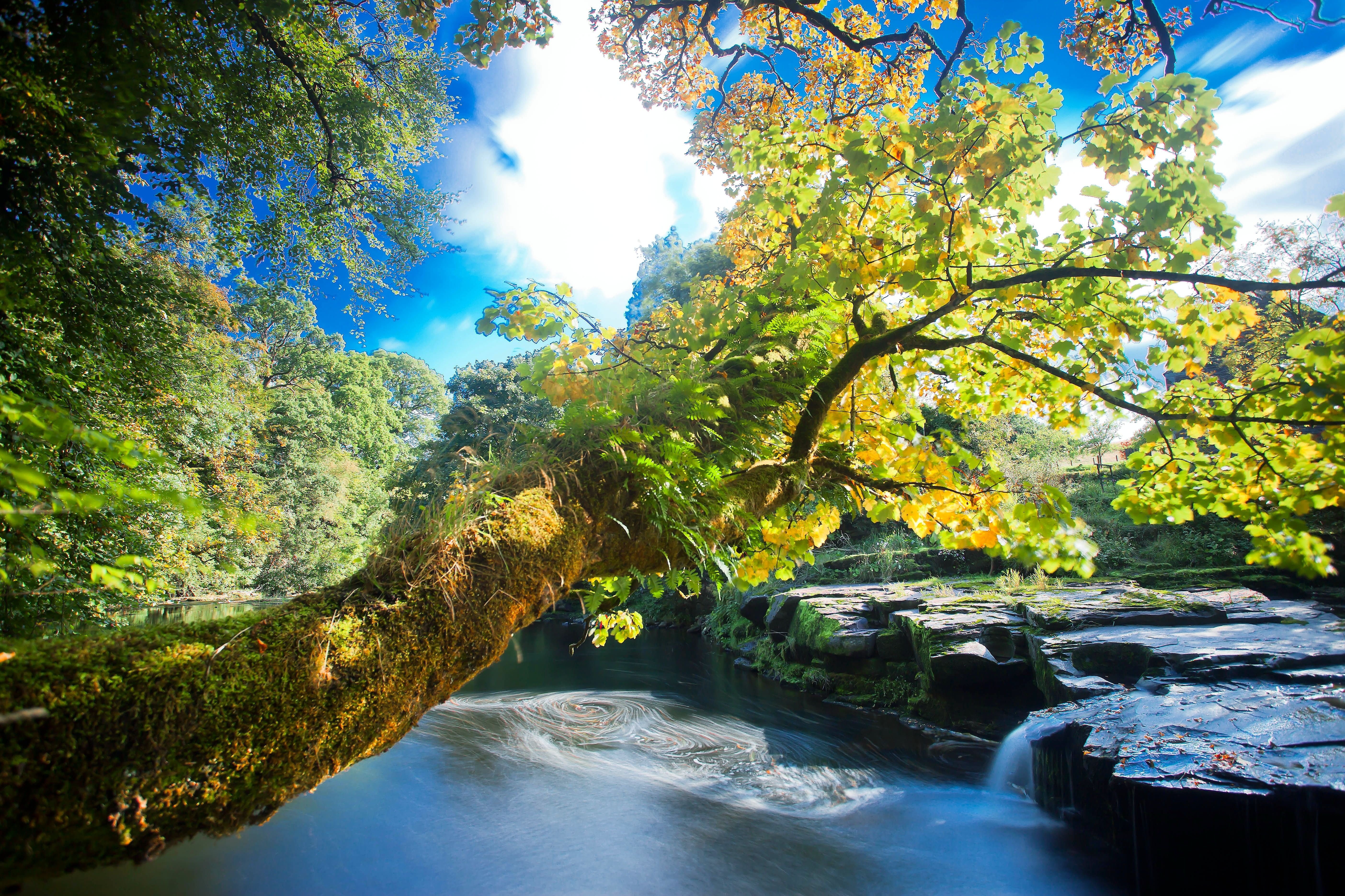 river, Rocks, Trees, Waterfalls, Autumn, Nature Wallpaper