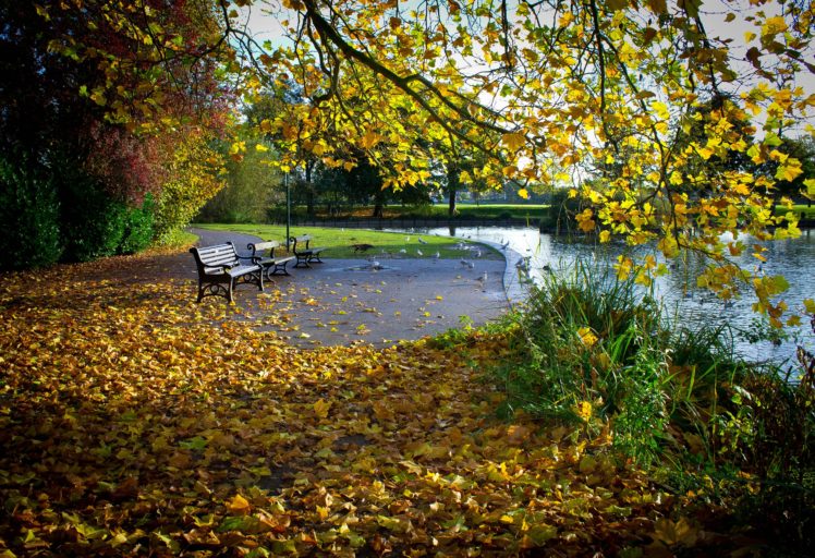 autumn, Park, Pond, Trees, Leaves, Landscape HD Wallpaper Desktop Background
