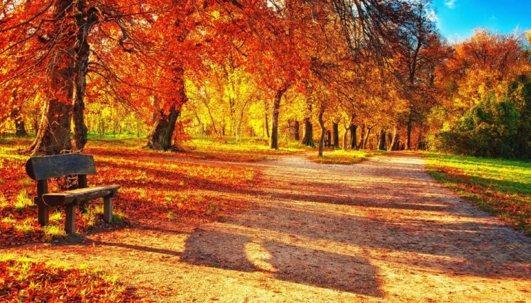 park, Leaves, Autumn, Trees, Bench HD Wallpaper Desktop Background