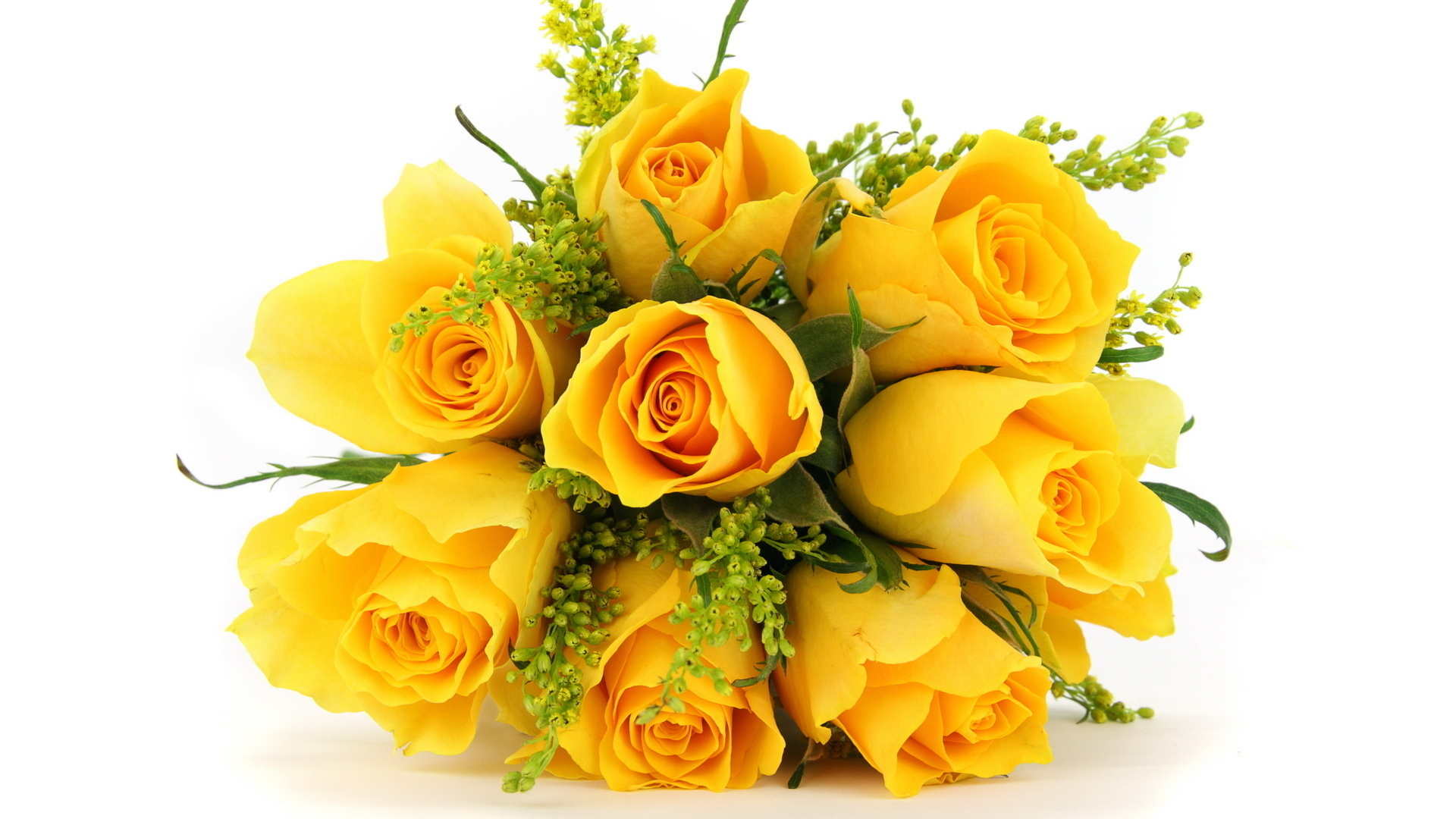 flowers, Bouquets, Roses, Yellow Wallpaper