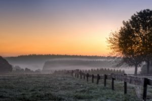 morning, Field, Trees, Fog, Landscape, Sunrise
