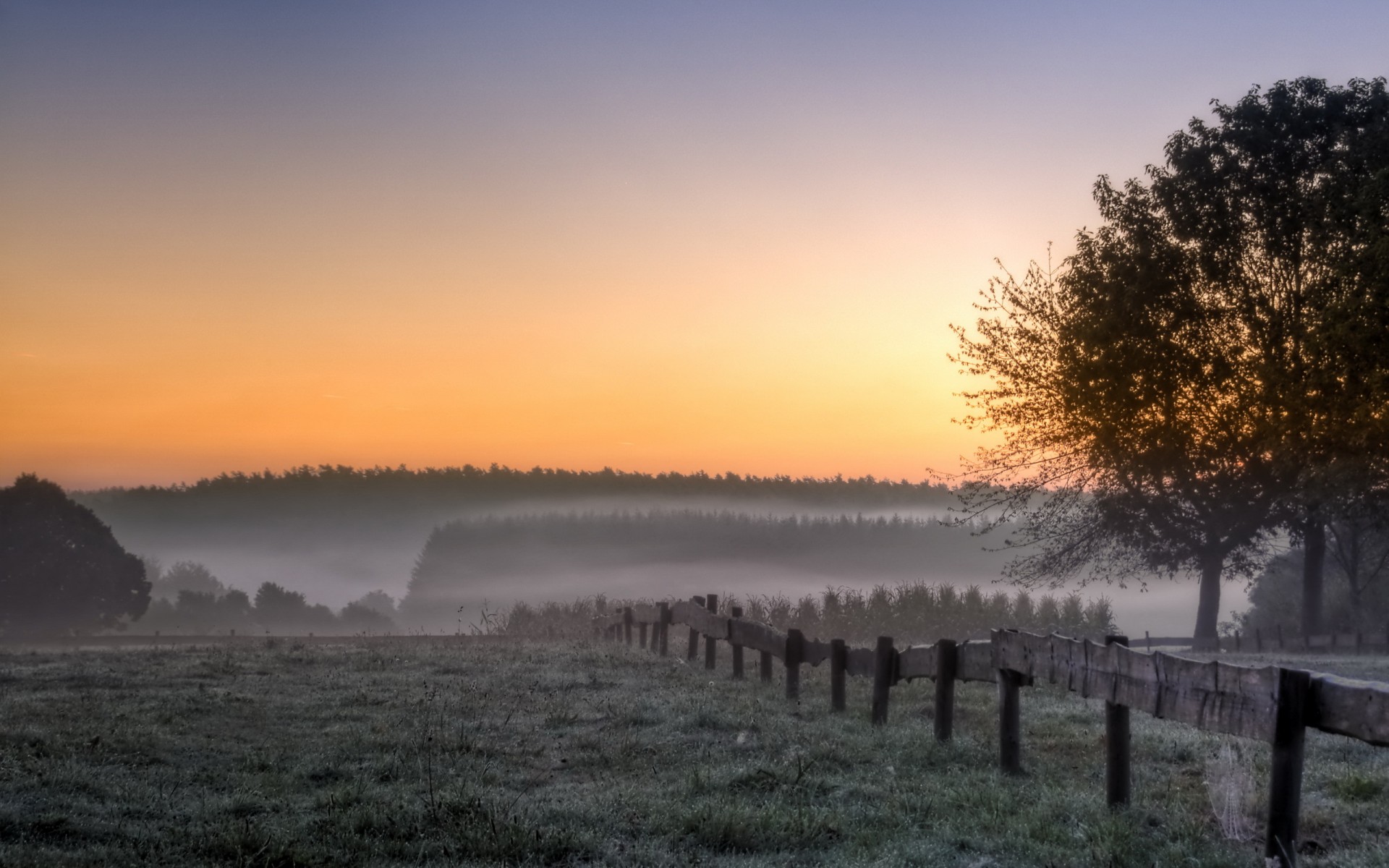 morning, Field, Trees, Fog, Landscape, Sunrise Wallpaper