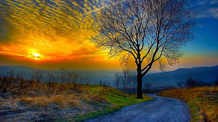 nature, Landscapes, Sunset, Sunrise, Trees, Sky HD Wallpaper Desktop Background