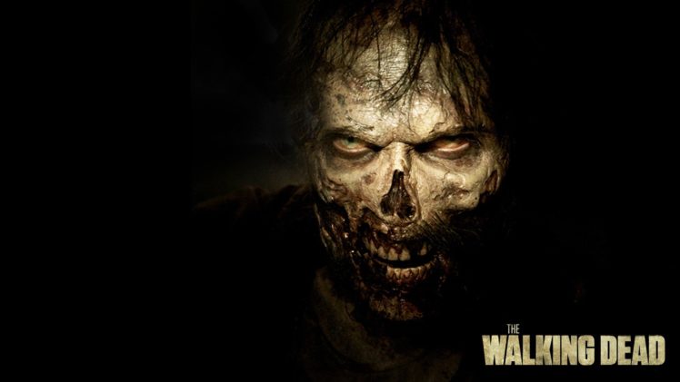 the, Walking, Dead, Dark, Horror, Zombie, Series, Apocalyptic, Drama, Thriller HD Wallpaper Desktop Background