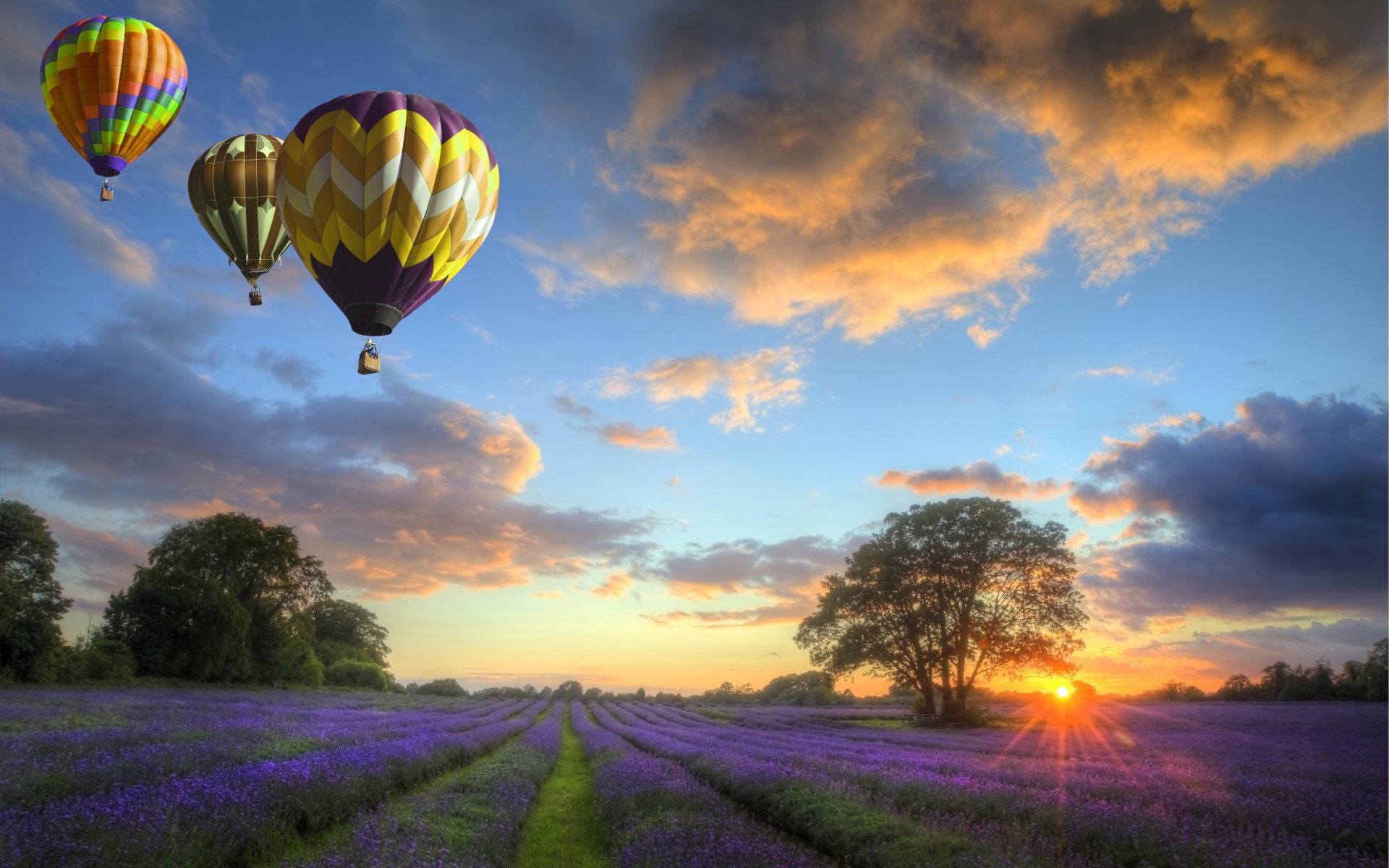 nature, Sky, Clouds, Sunset, Landscape, Balloons, Field, Flowers Wallpaper
