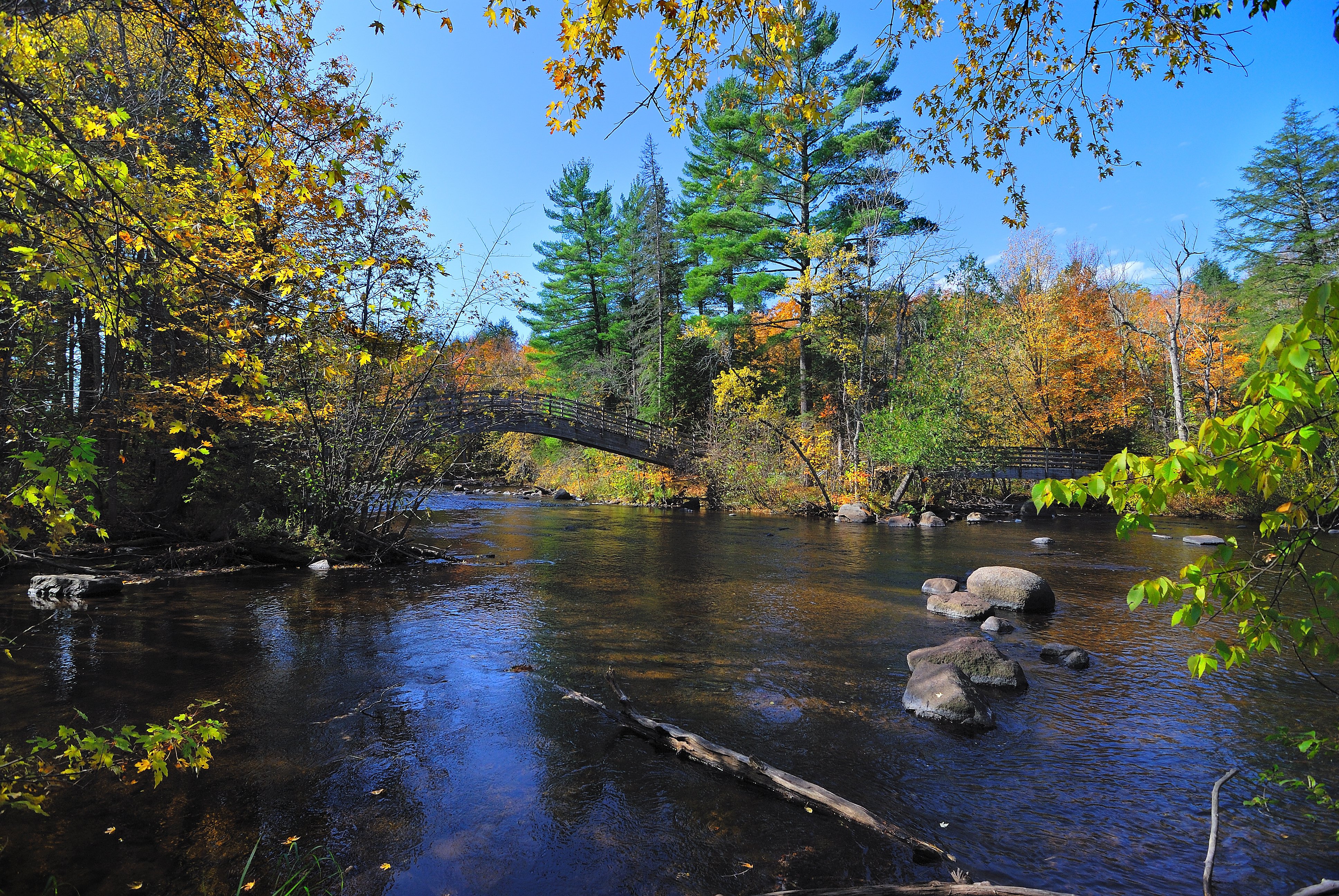 autumn, River, Trees, Bridge, Landscape Wallpaper