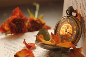 flowers, Books, Petals, Pocket, Watches, Rose, Mood, Clock, Book, Text